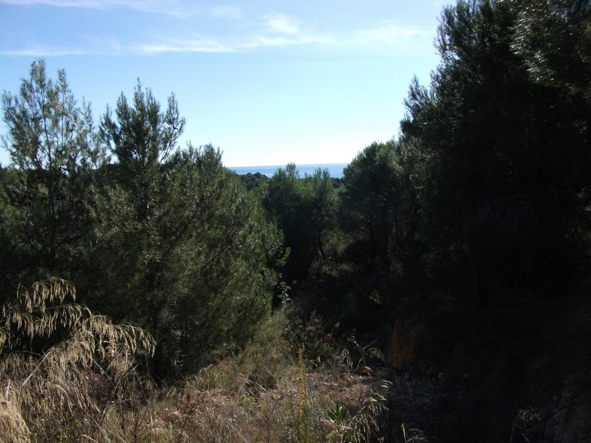 Propiedad 4