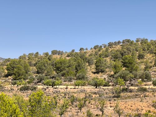 R5070025