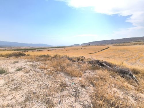 R5138512