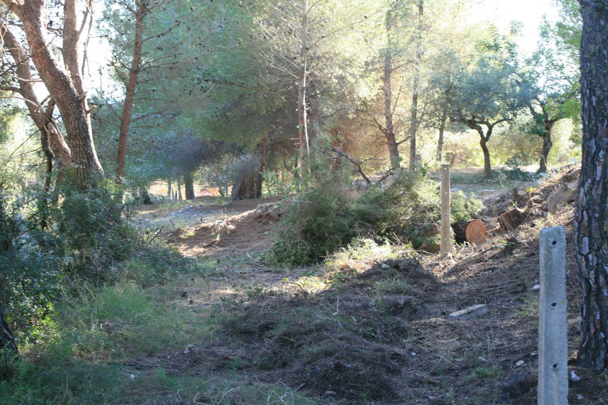 Propiedad 6