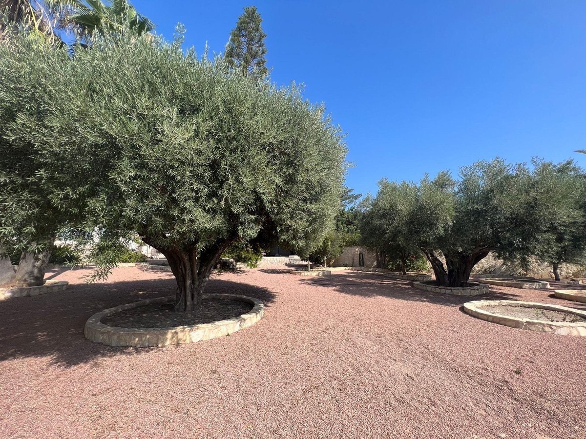 Property 24