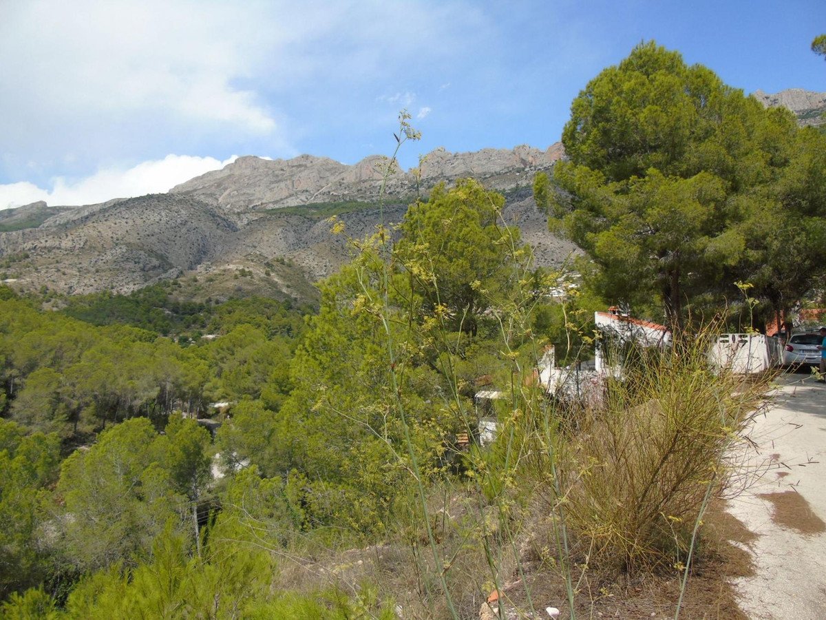 Propiedad 2