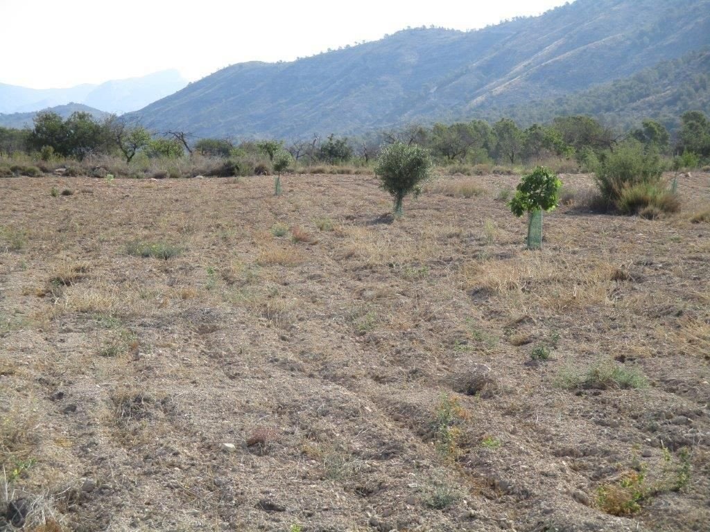 Propiedad 29
