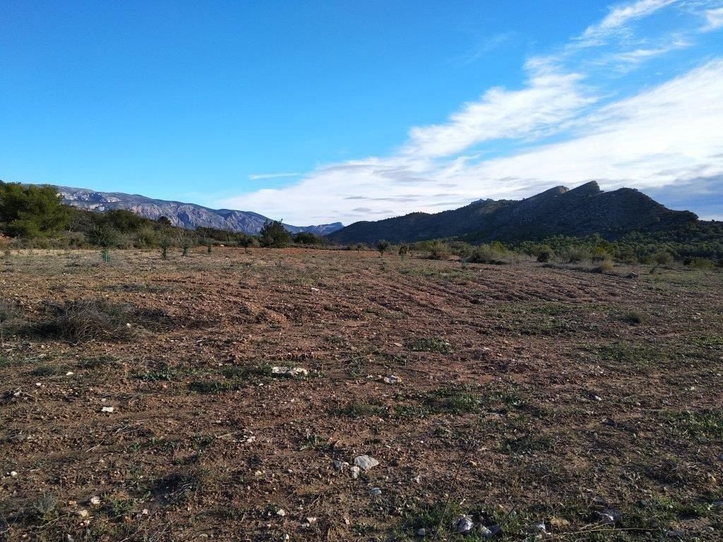 Propiedad 31