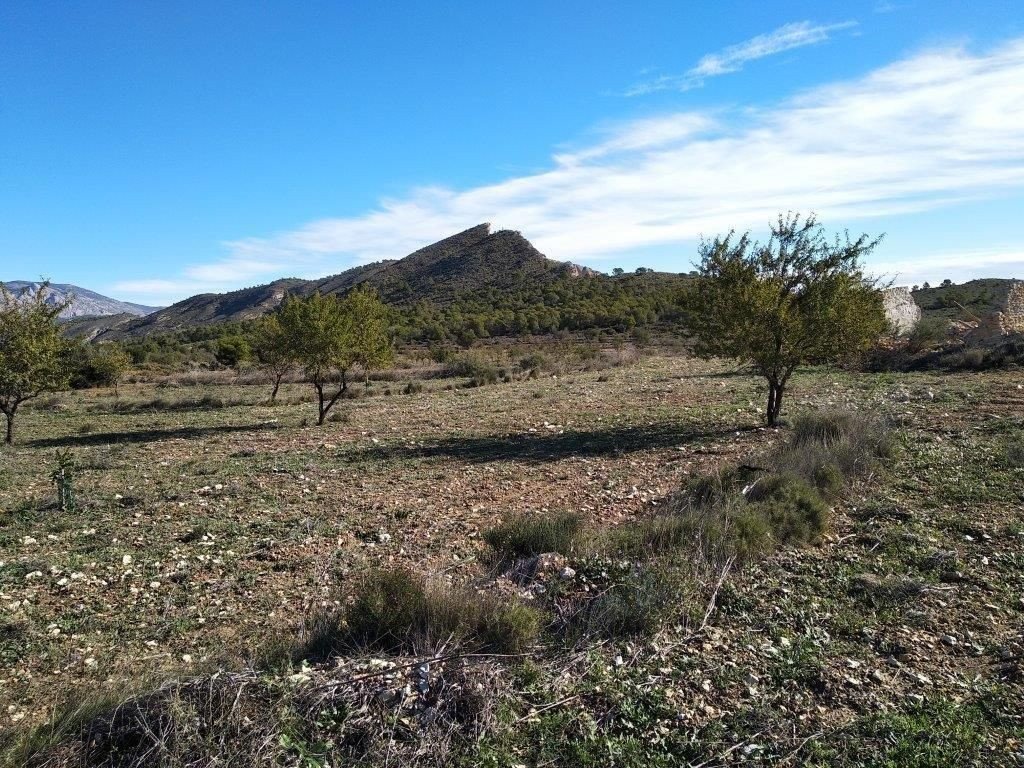 Propiedad 36
