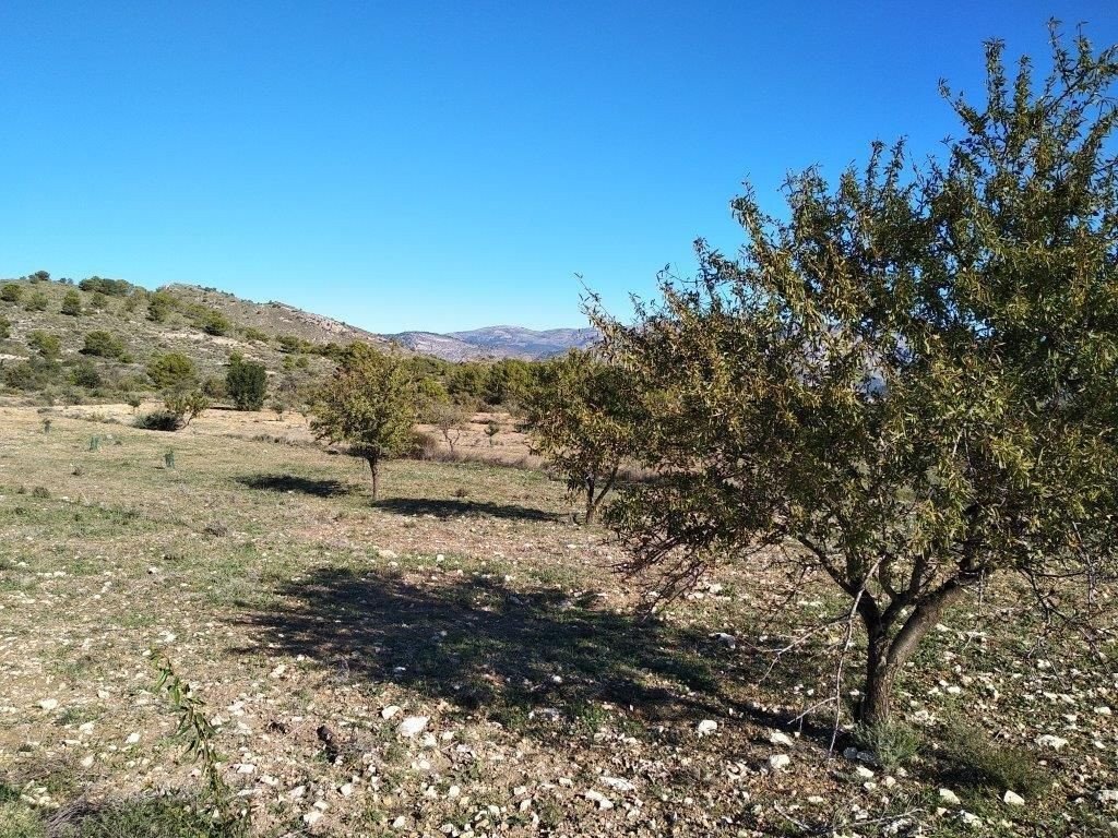 Propiedad 37