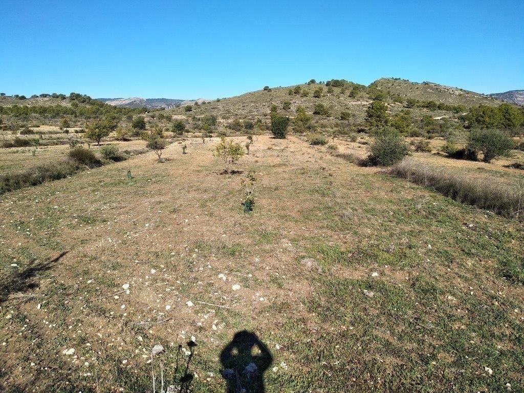 Propiedad 39