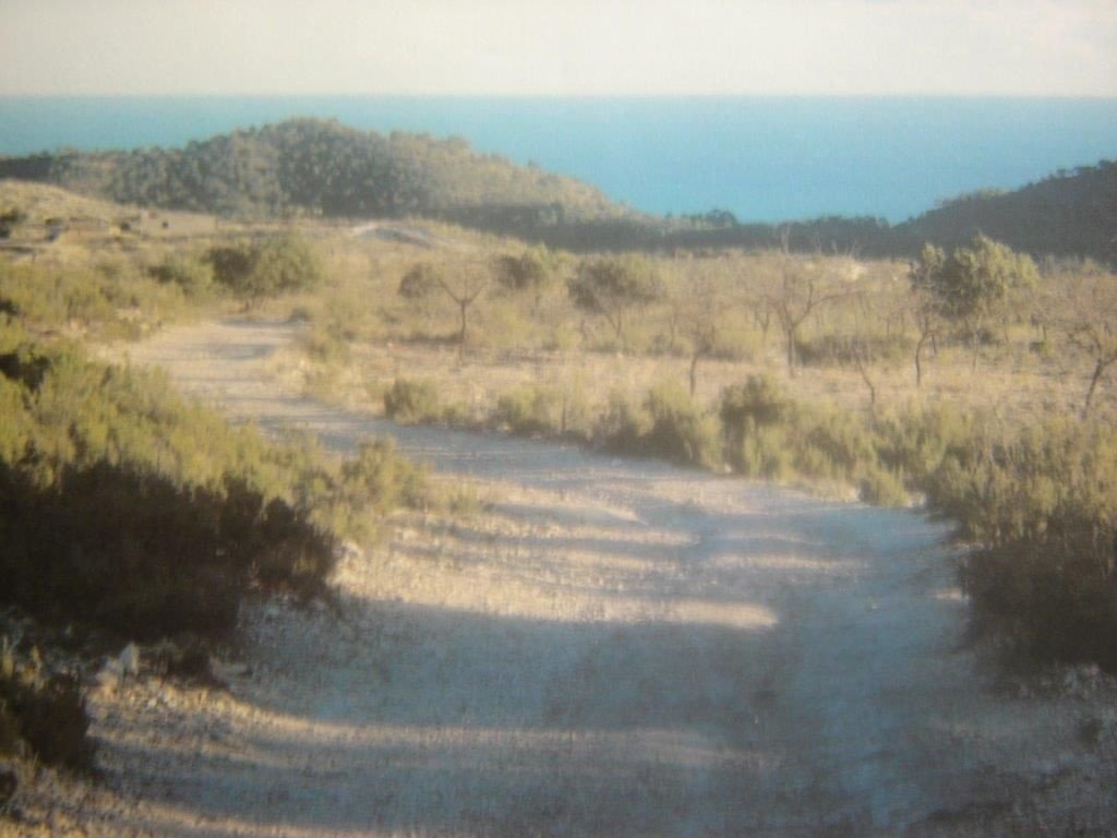 Propiedad 42