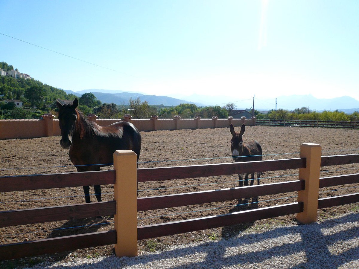 Propiedad 7