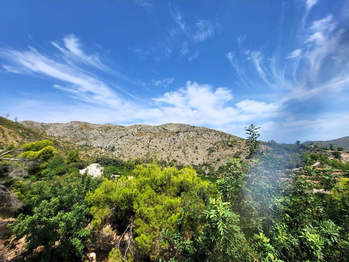 Propiedad 29