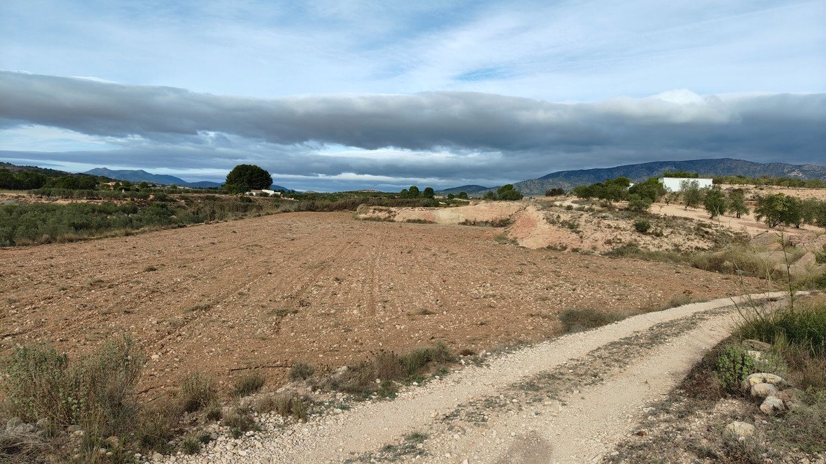 Propiedad 5