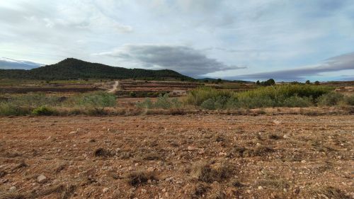 R5211289