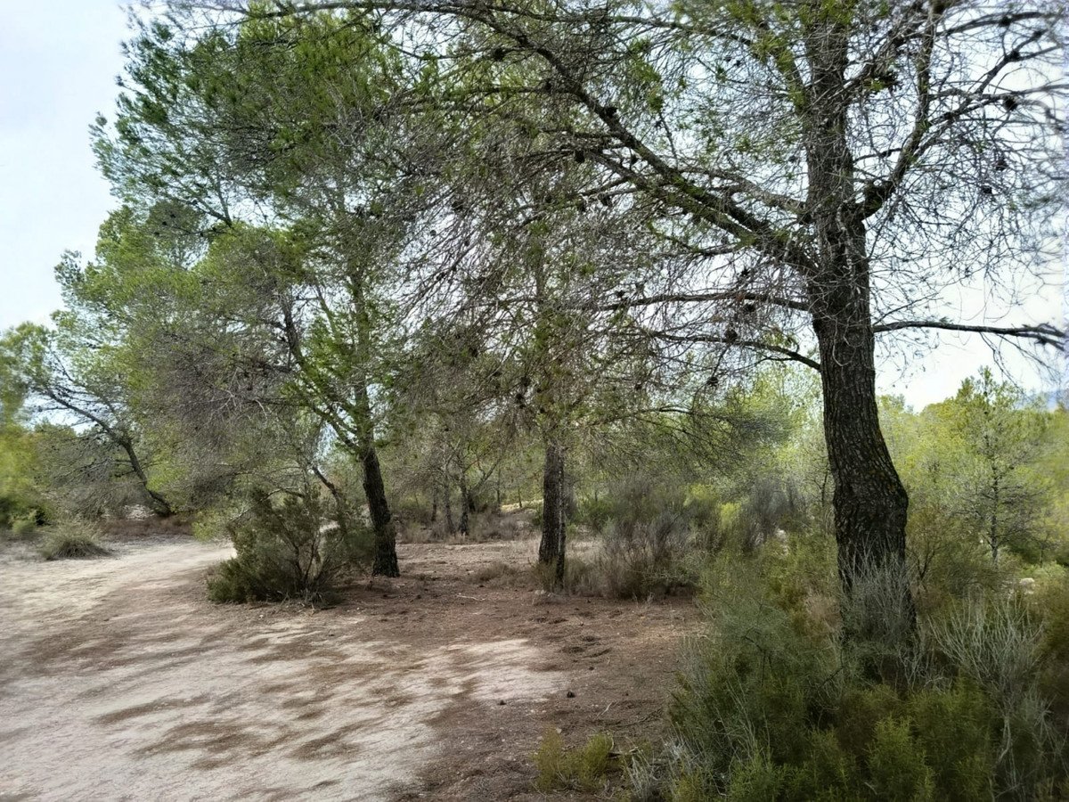 Propiedad 3