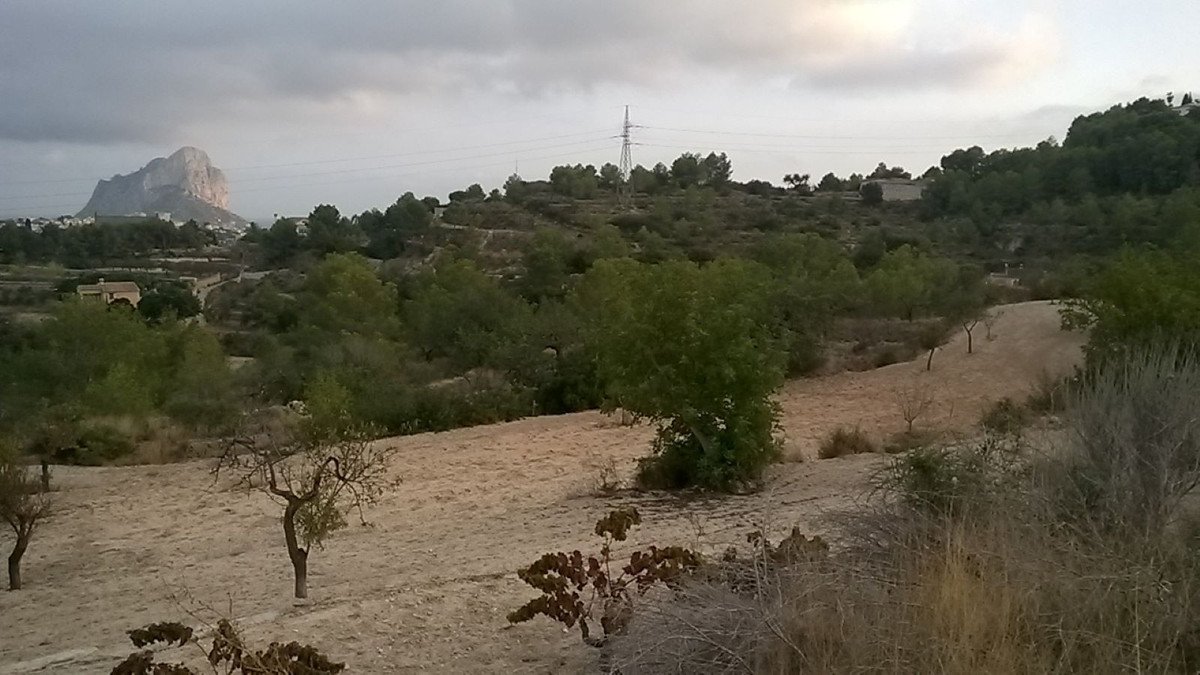 Propiedad 2