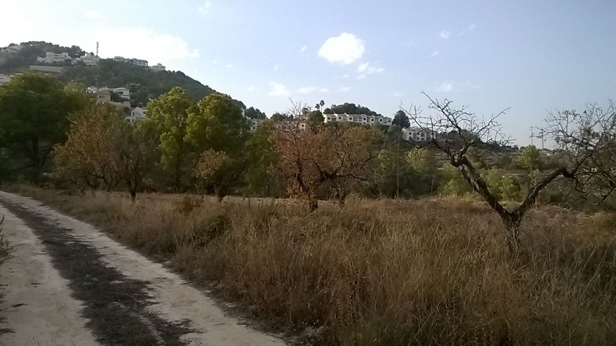 Propiedad 4