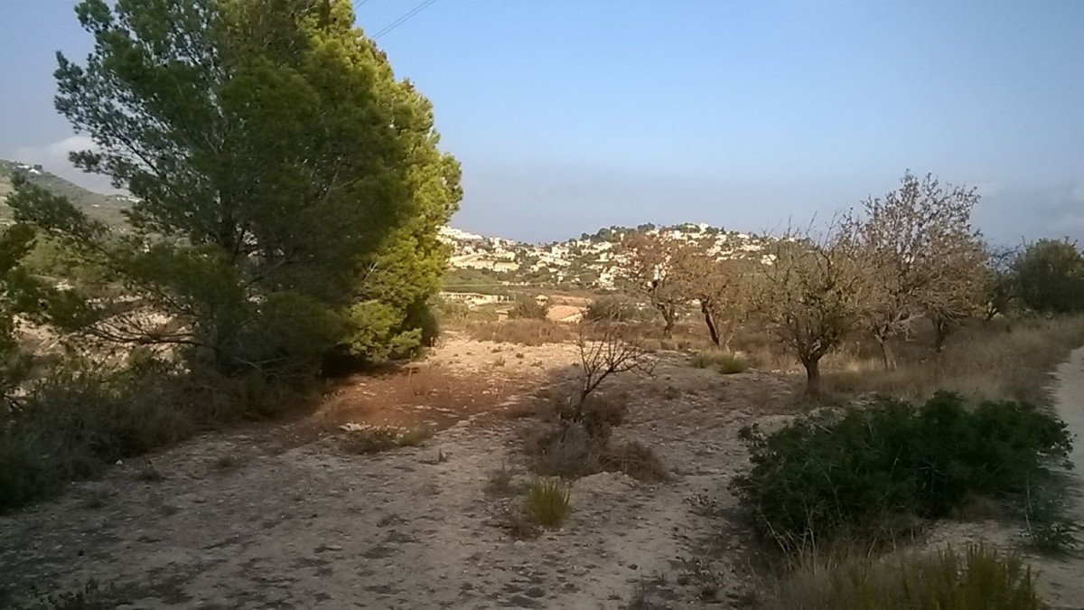 Propiedad 5