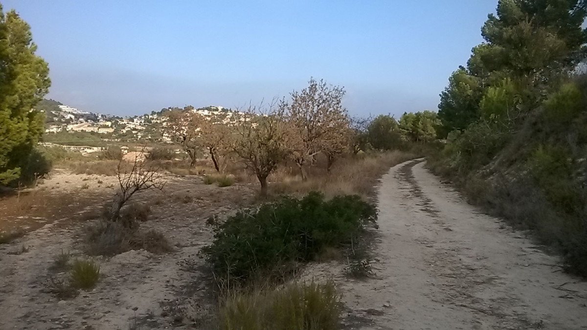 Propiedad 7