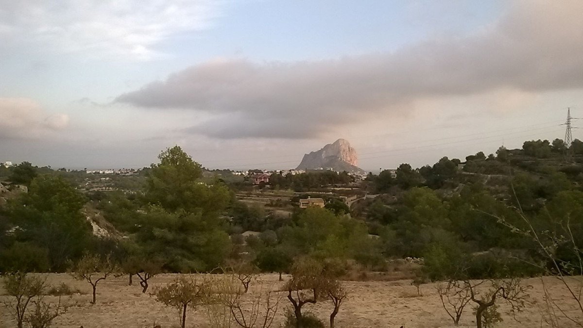 Propiedad 8