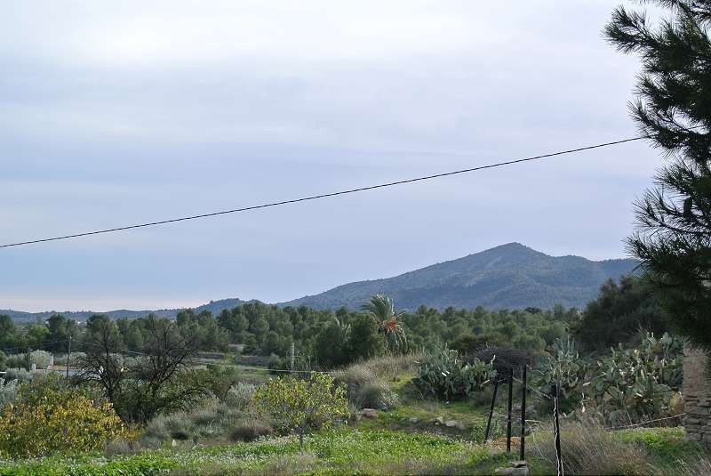 Propiedad 7