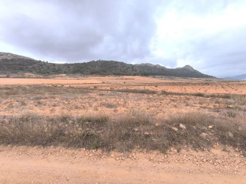 R5257996