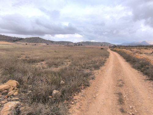 R5257993