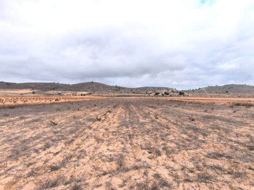 R5257984