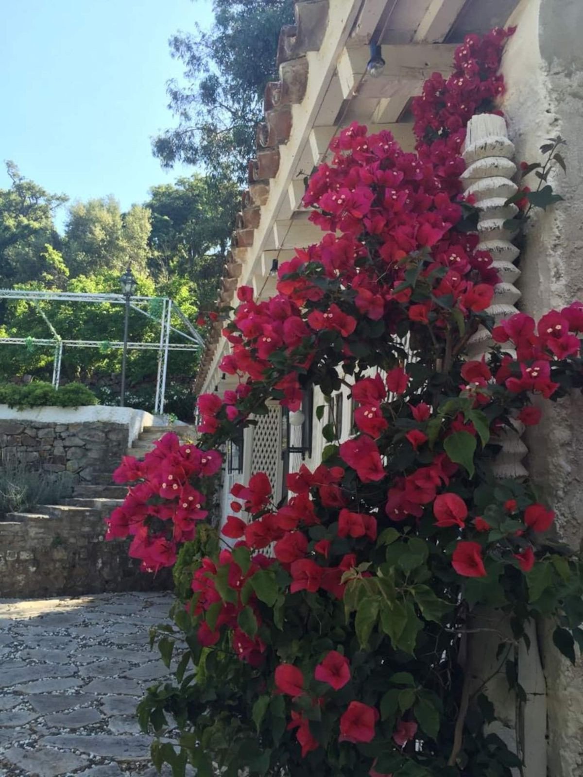 Propiedad 36