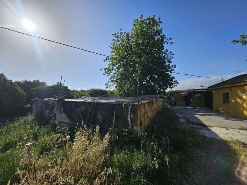 R5066983