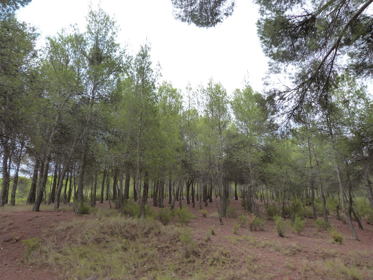Propiedad 30