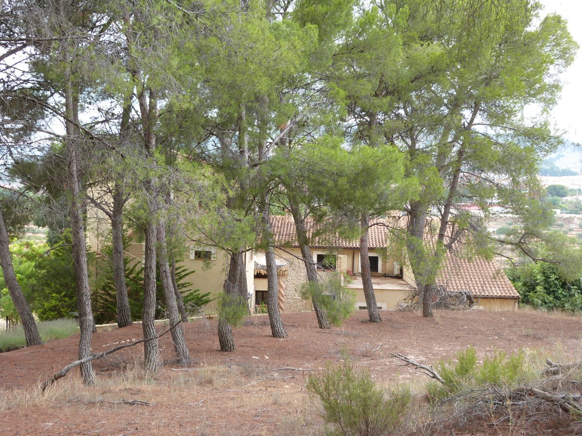 Propiedad 32