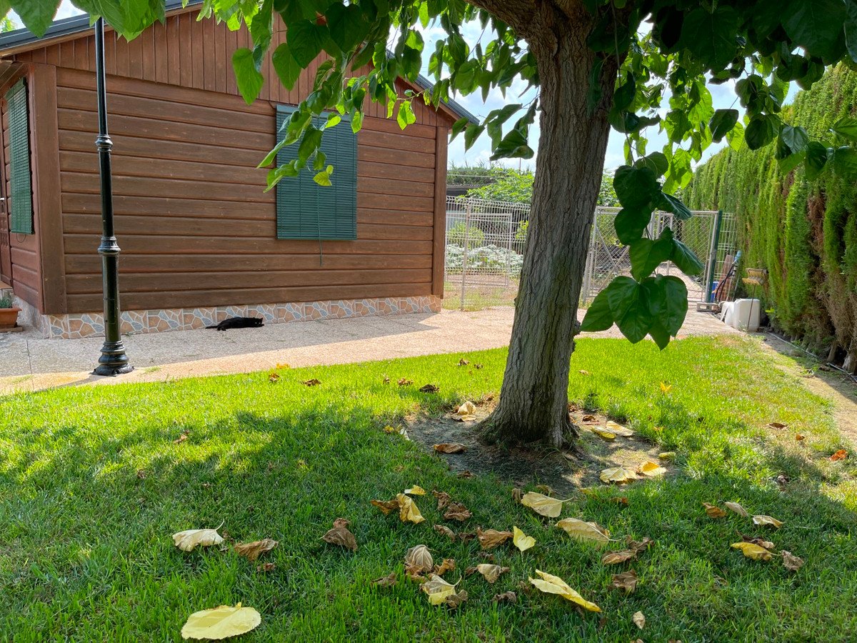 Property 26