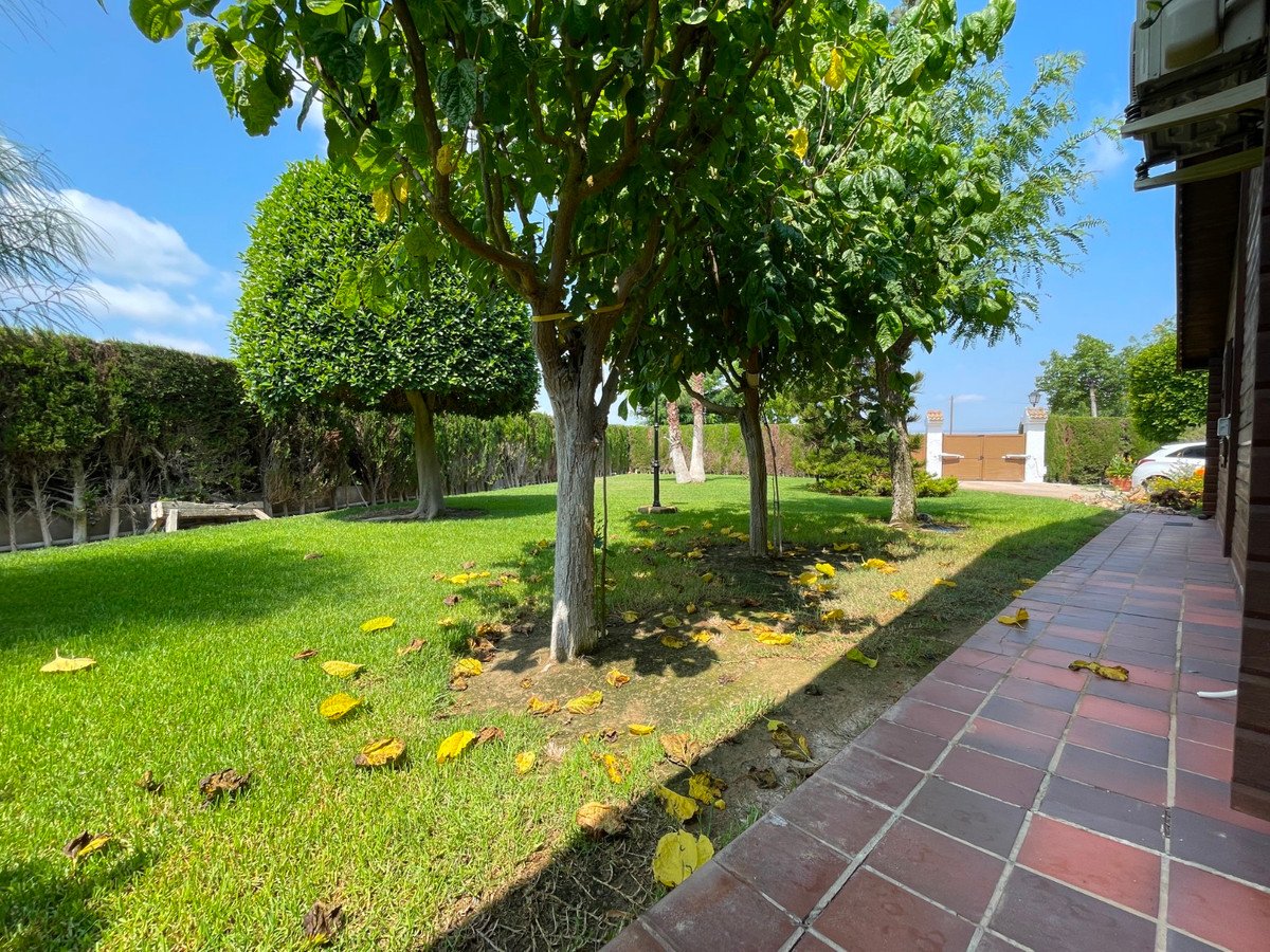 Property 31