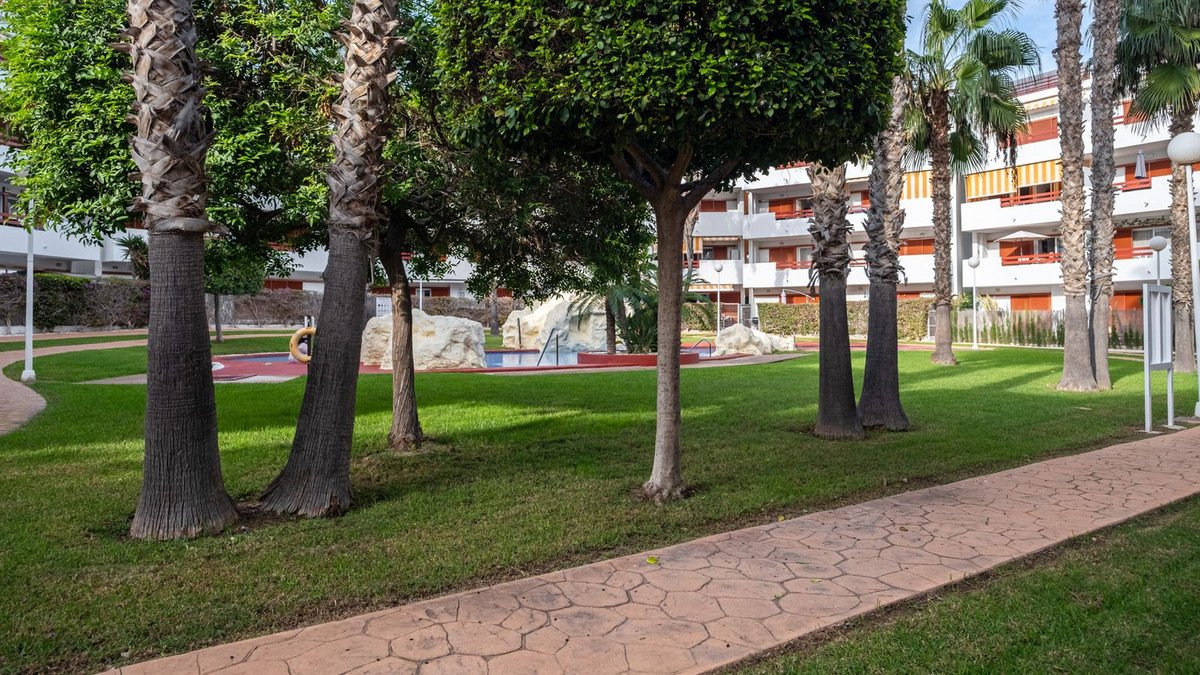 Propiedad 35