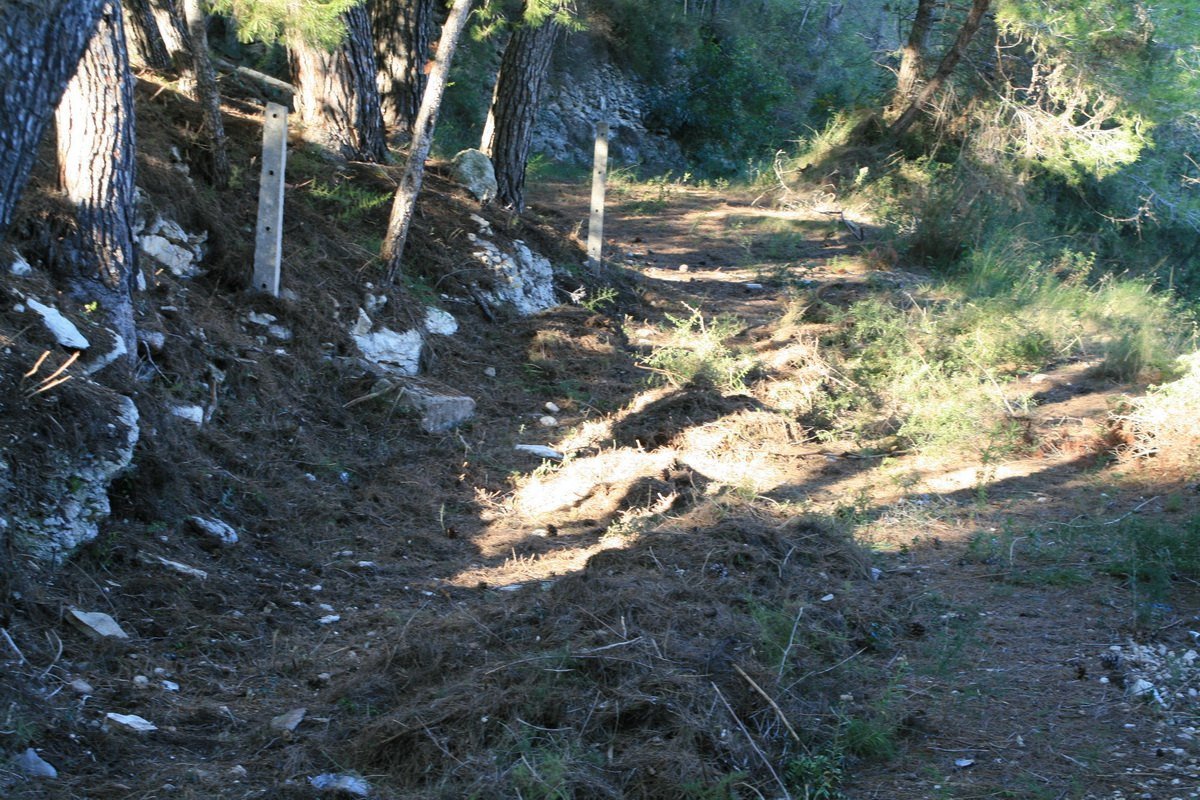 Propiedad 4