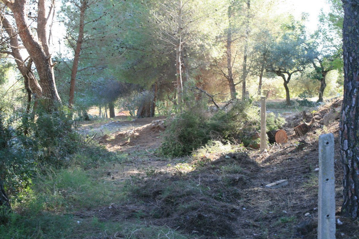 Propiedad 5