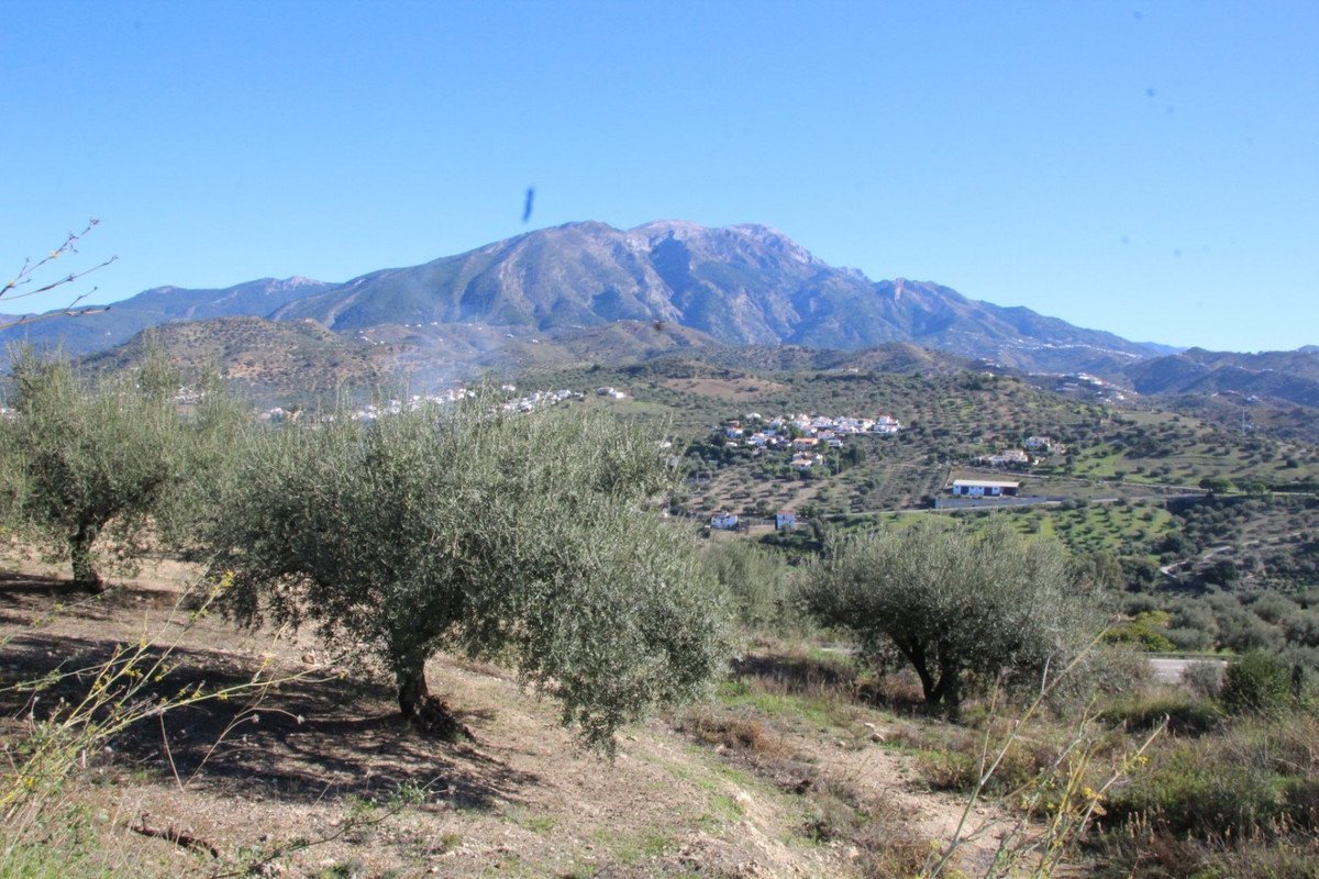 Propiedad 3