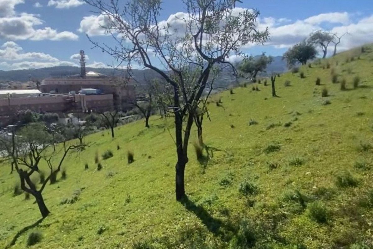 Propiedad 4