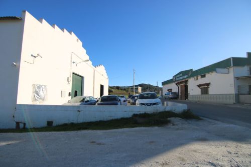 R4246519