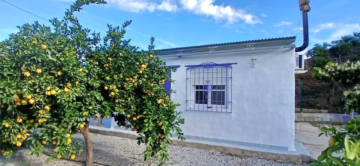 Propiedad 35