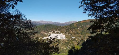R4794364