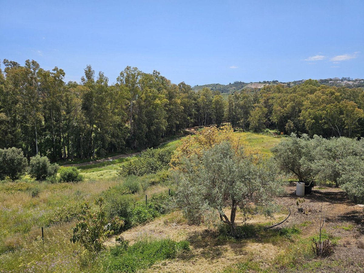 Propiedad 39