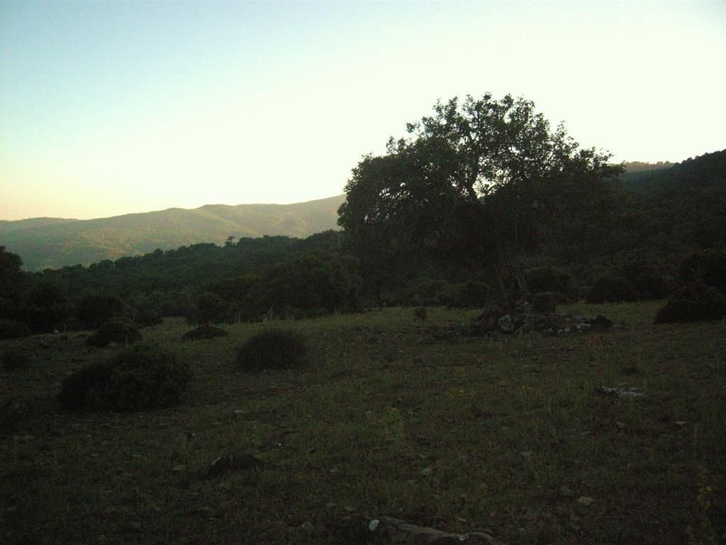 Propiedad 9