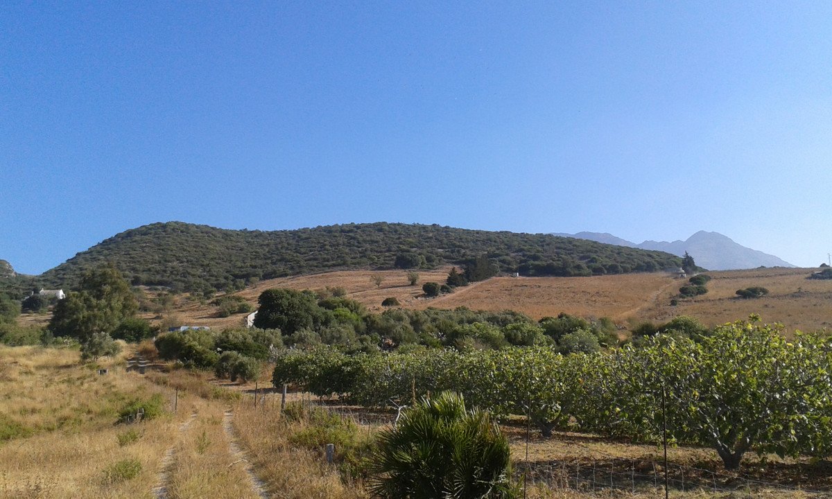 Propiedad 3