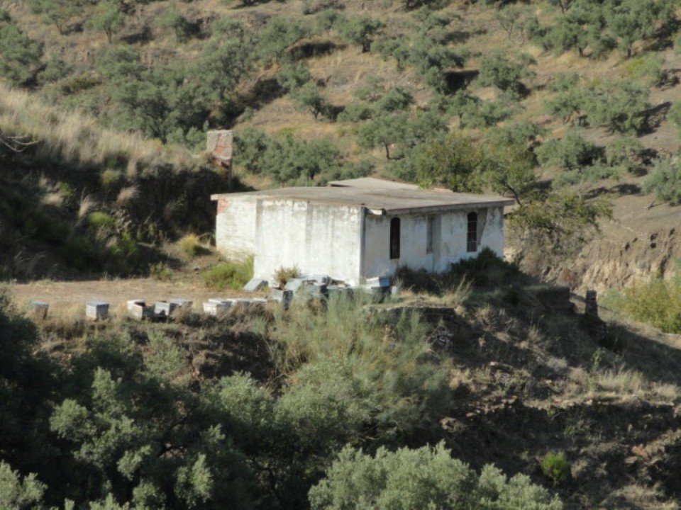 Propiedad 3