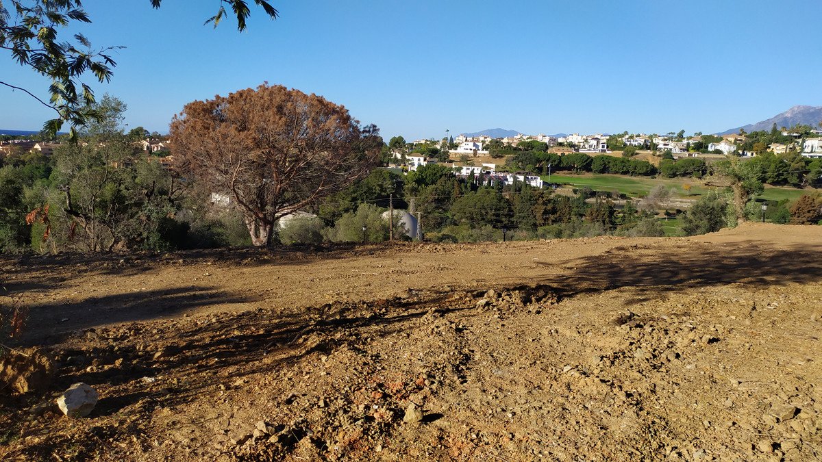 Propiedad 6