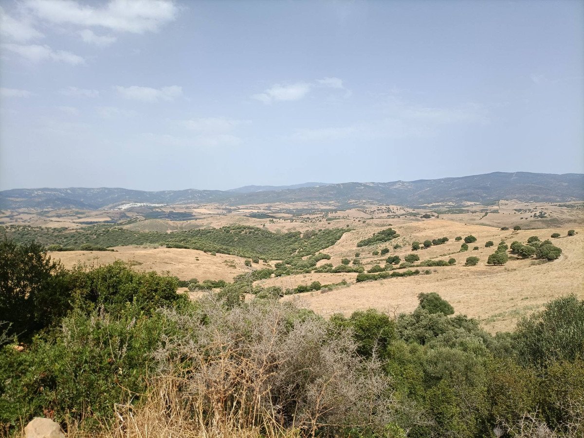 Propiedad 9