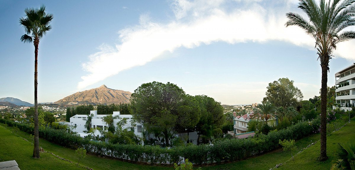 Propiedad 10
