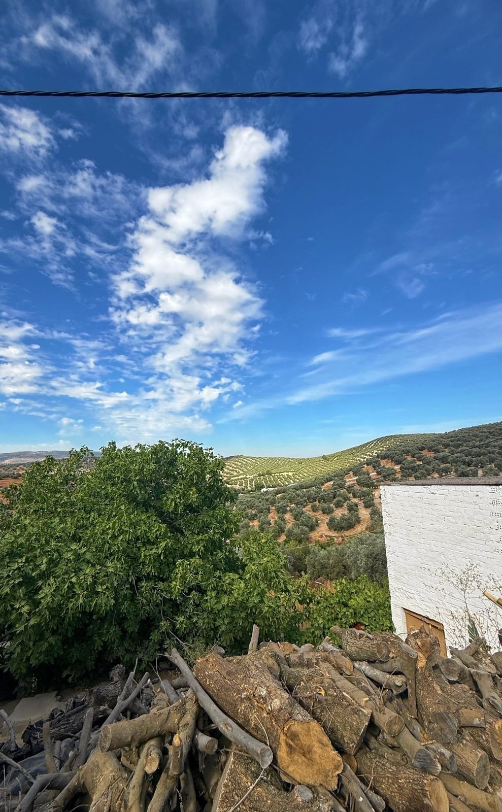 Propiedad 54