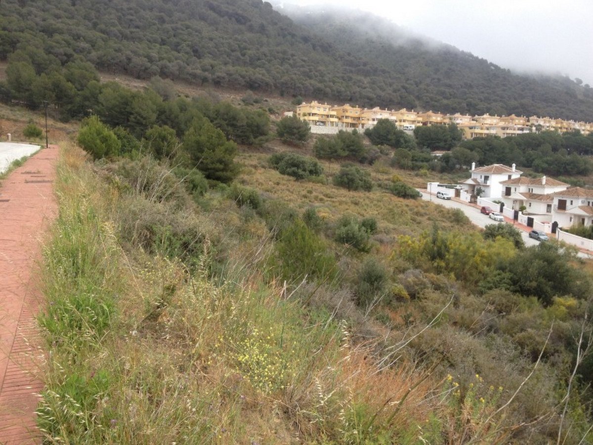 Propiedad 8