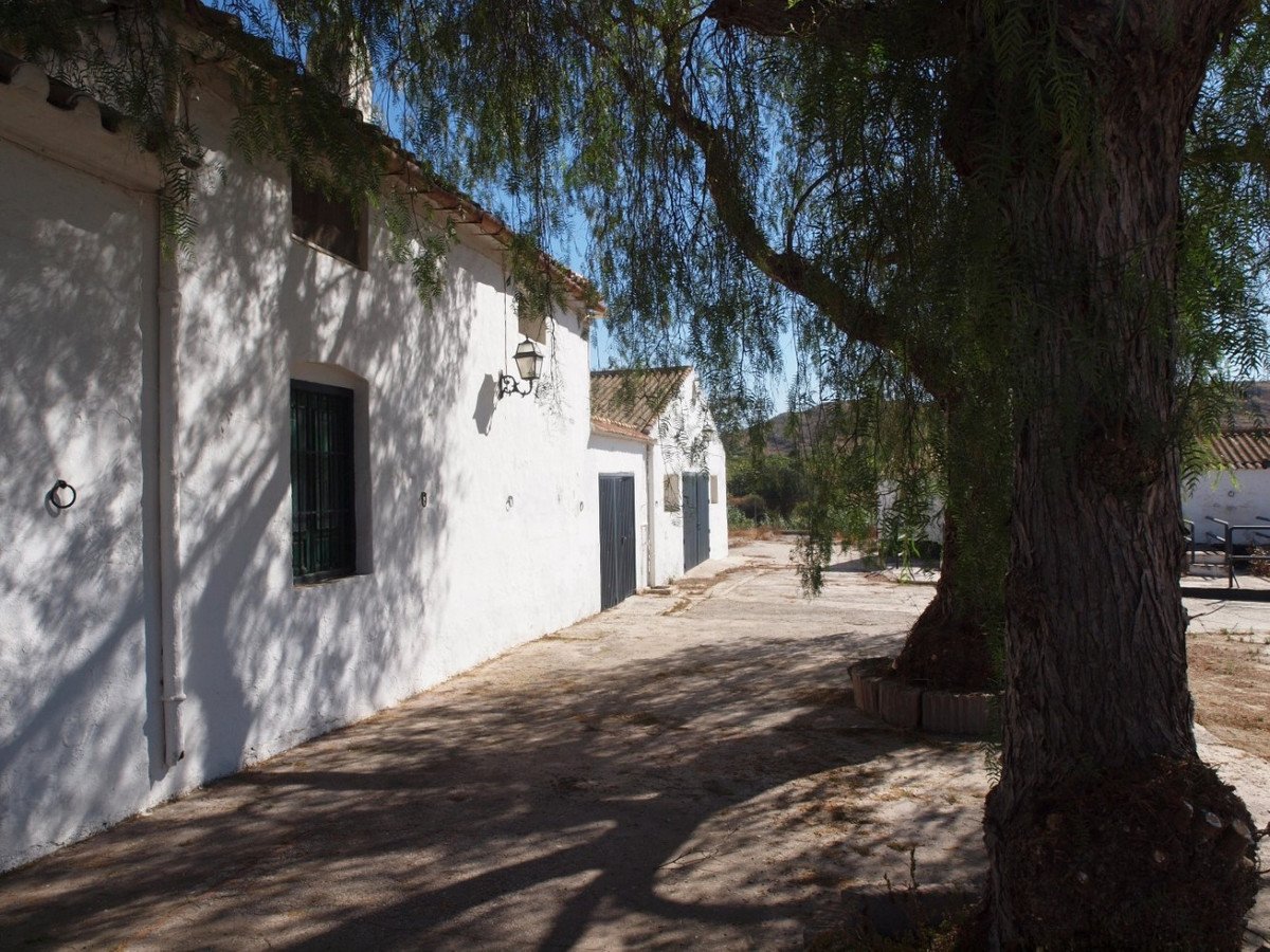 Propiedad 34